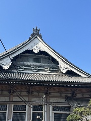 IMG 9251